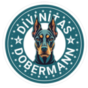 Divinitas logo