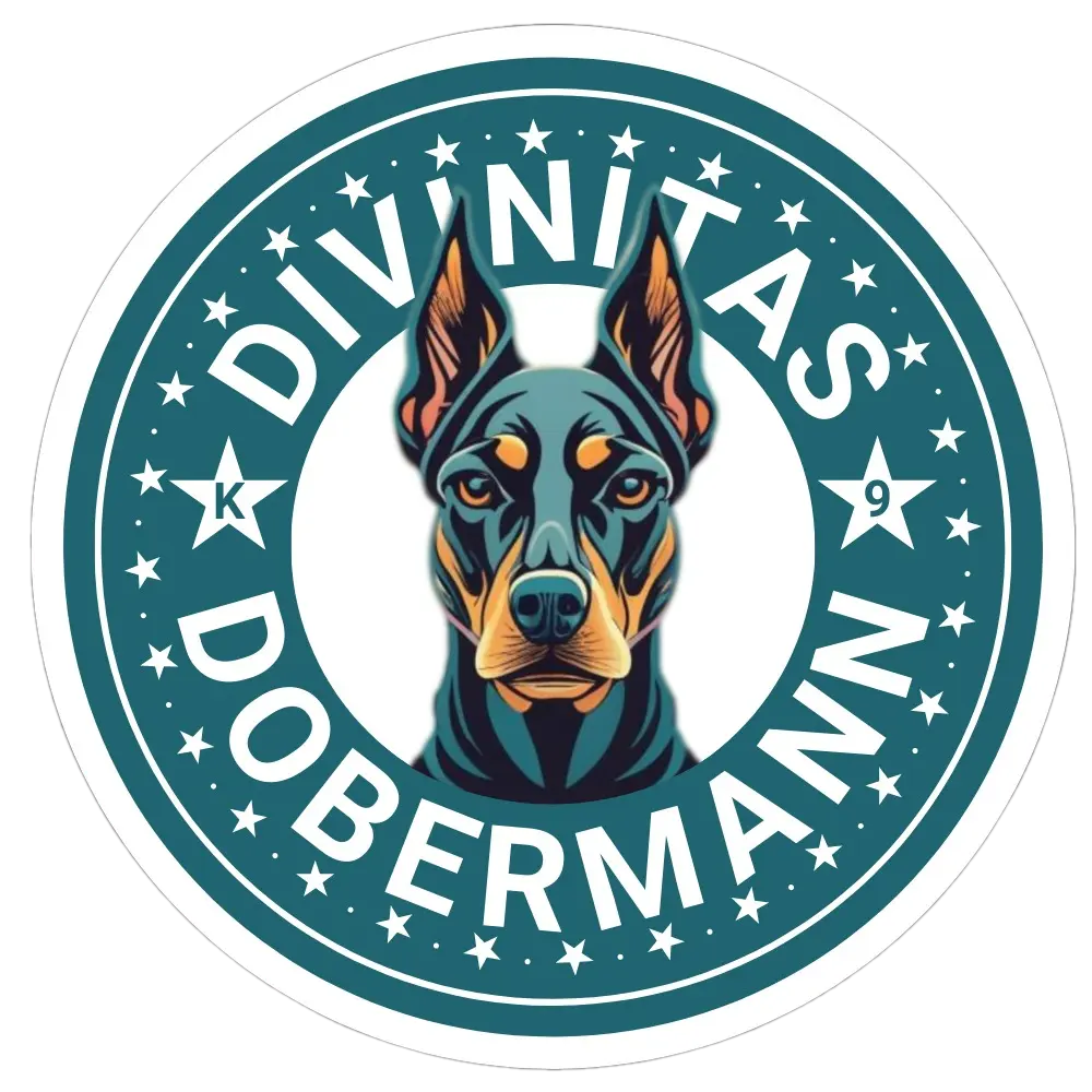 Divinitas logo